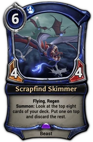 Scrapfind Skimmer