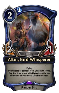 Altin, Bird Whisperer
