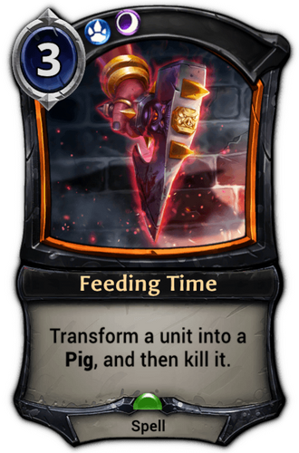 Feeding Time card