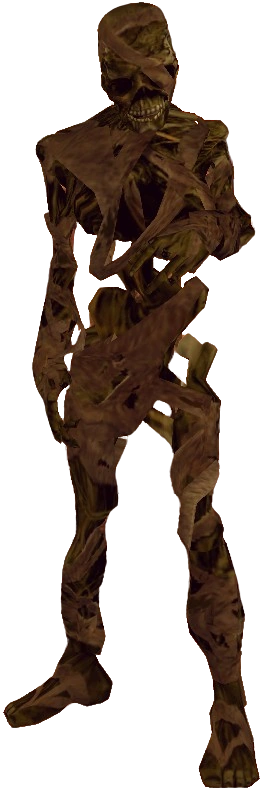 latest?cb=20240314003901