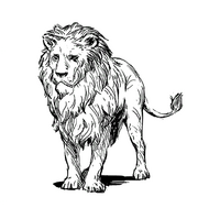 Bestiary lion