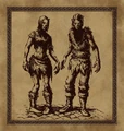 Concept art of a male and female Dargul.