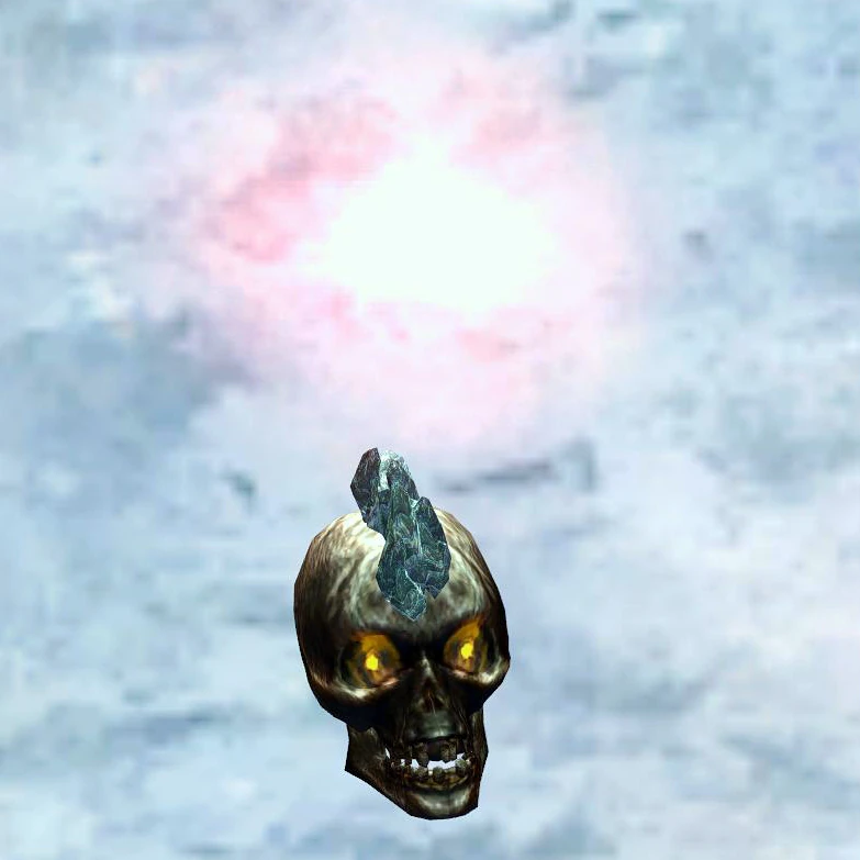 Concelhaut's Skull Official Pillars of Eternity Wiki