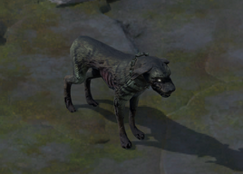 PE2 Grave Hound