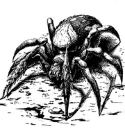 Bestiary spear spider