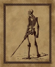 concept of a skeleton