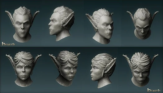 Head shape of a male and a female hearth orlan
