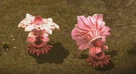 PE1 Swamp Spore