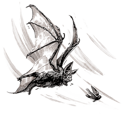Bestiary bog bat