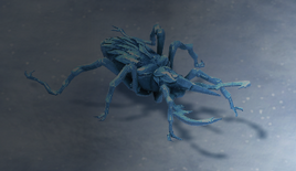 Px1 ice beetle