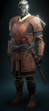 The same armor is used for all soldiers, usually intended for melee fighters using swords and shields.