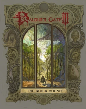Baldur's Gate III: The Black Hound box art