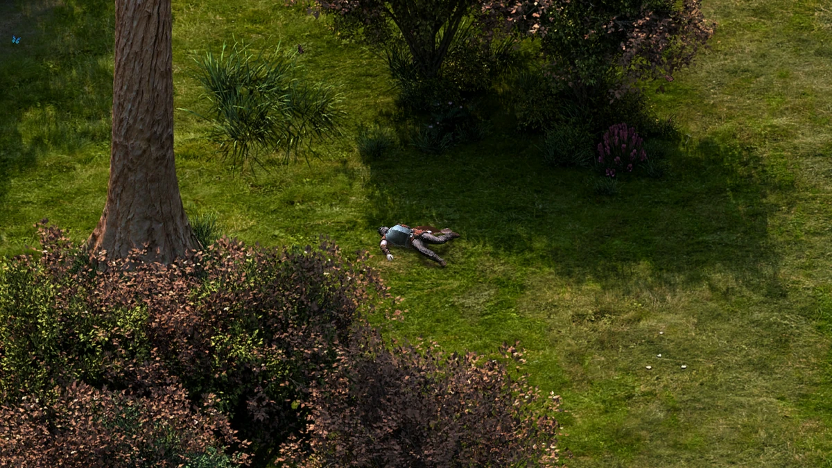 Elmshore/Loot Official Pillars of Eternity Wiki