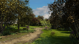 LSC Generic Wilderness 01