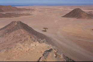 Egypt - Eastern Desert by the Red Sea