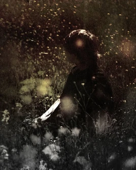 Willoughby Tucker | Ethel Cain Wiki | Fandom