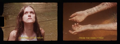 Edit combining the stills