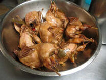 Chicken adobo