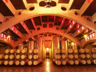 Wine cellar