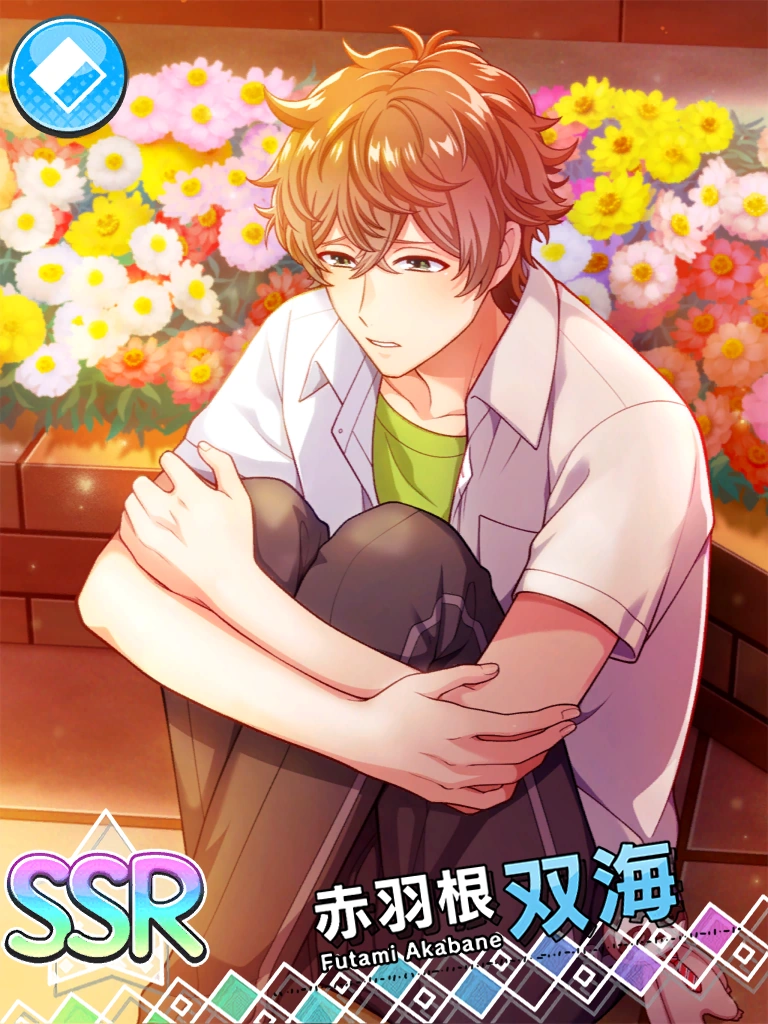 Odd Buddies Of The Wild West Futami Akabane Ssr Etoile Stage Wiki Fandom
