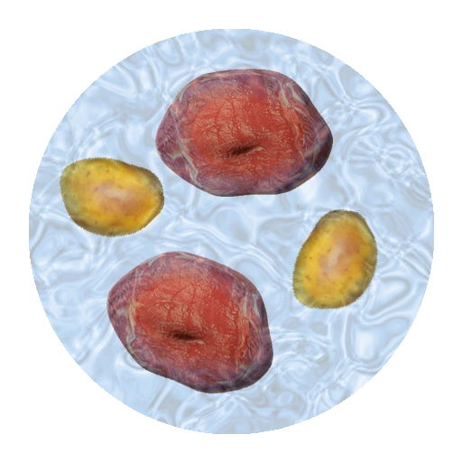 Meat Soup Lvl 2 Escape The Pacific Wiki Fandom