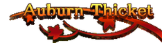 Stratum2banner2