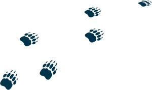 8.png