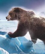 Toklotaivaantuli.jpg (34 KiB) Toklo kirjan Taivaan tuli kannesta.