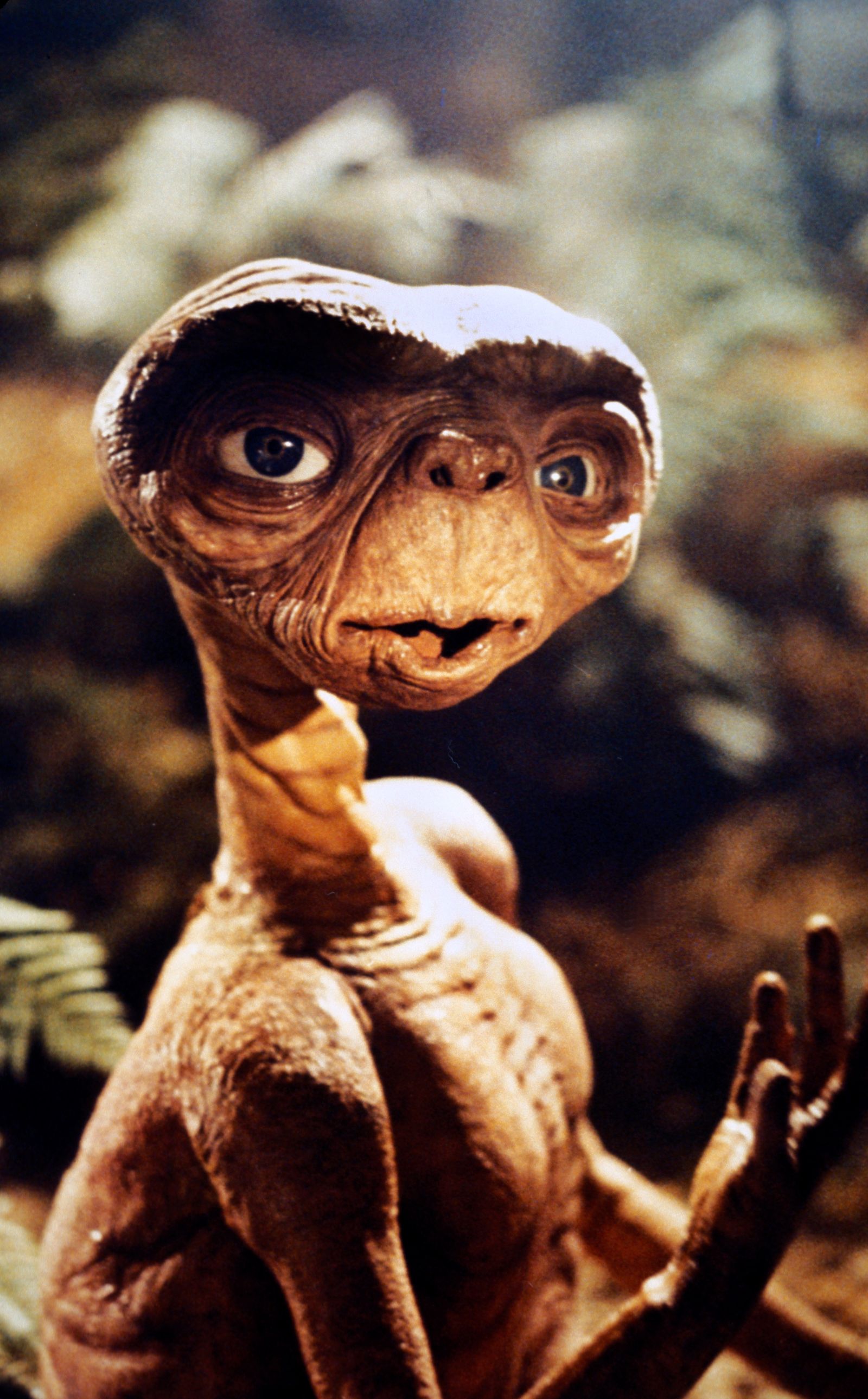 E.T. | E.T. The Extra Terrestrial Wiki | Fandom