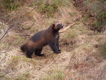 Image004-0.jpg