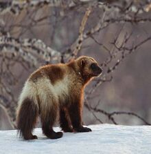 Image002-0.jpg