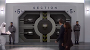 Section 5.png