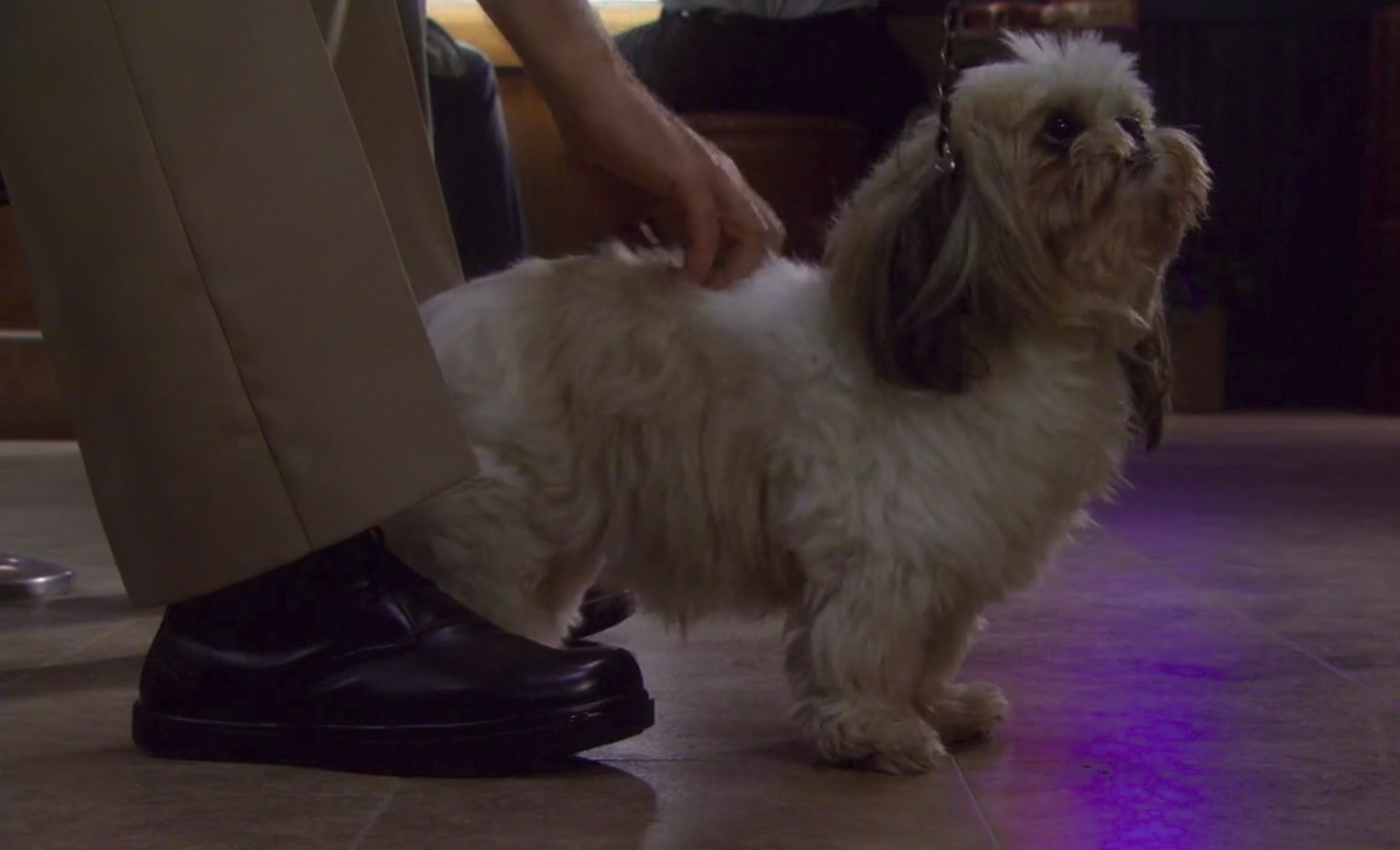 most realistic robot dog