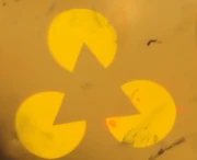 Logo as appears on the destroyed Medon