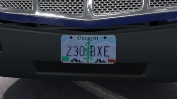 License plate