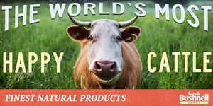 Bushnell Farms billboard in , NM