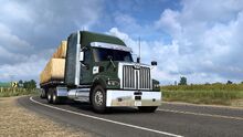 Western Star 49X Power Hood