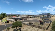 Sunshine Crops