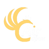 Sirin Air logo