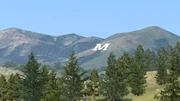 Bozeman M
