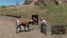 Existential Cows