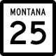 Mt 25 shield