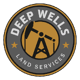 Deep Wells logo