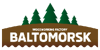 Baltomorsk logo