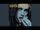 Wild Love (Delta Force Song)