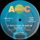 12" Vinyl B-Side featuring "Ya Really Want To Hurt Me"