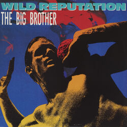 洋楽 THE BIG BROTHER / DAVE RODGERS AVCD-1006 Wild Reputation | Eurobeat Wiki | Fandom