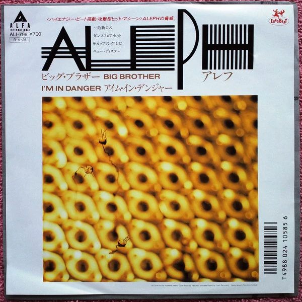 Big Brother | Eurobeat Wiki | Fandom