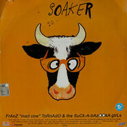 Rear - Cover for Soaker