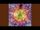 Like A Rainbow